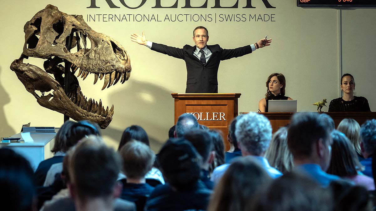 T. Rex Dinosaur Skeleton 