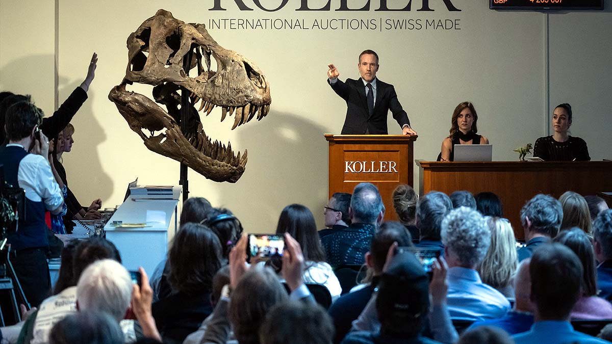 T. Rex Dinosaur Skeleton 