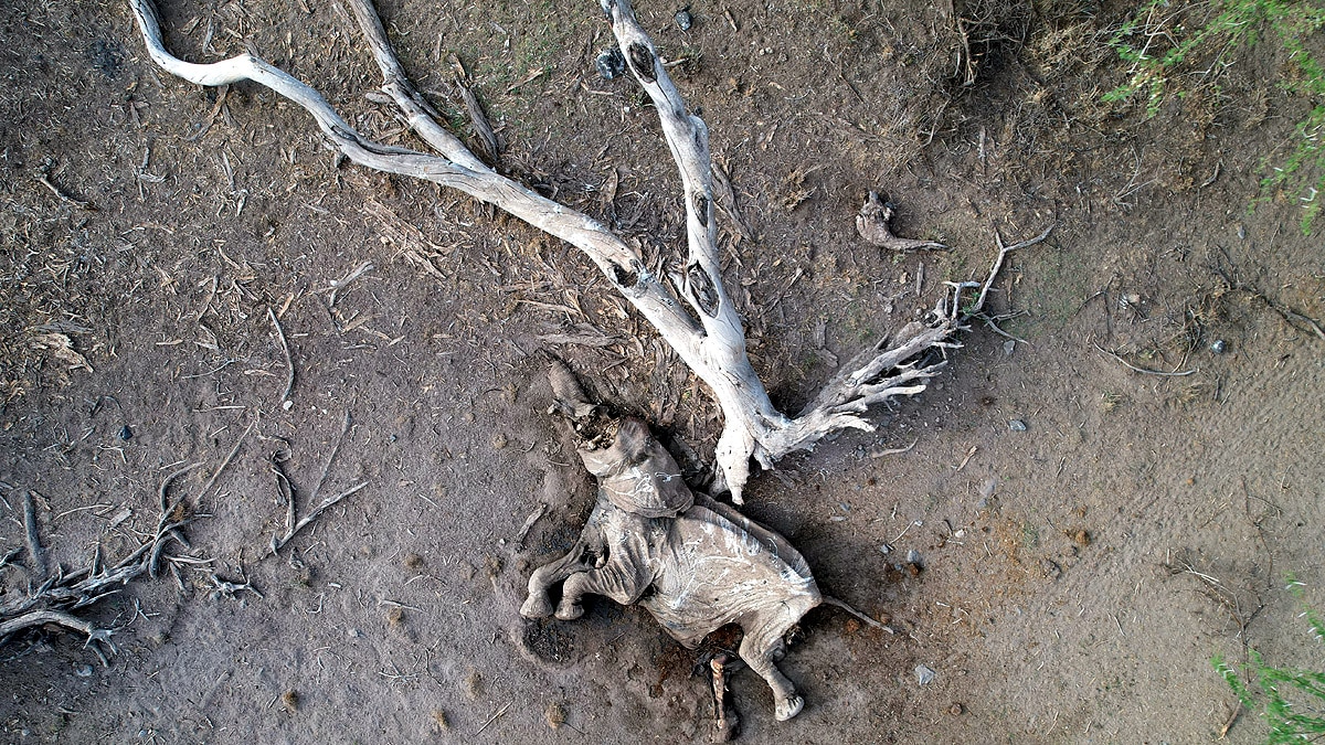 Hot Summer Weather India