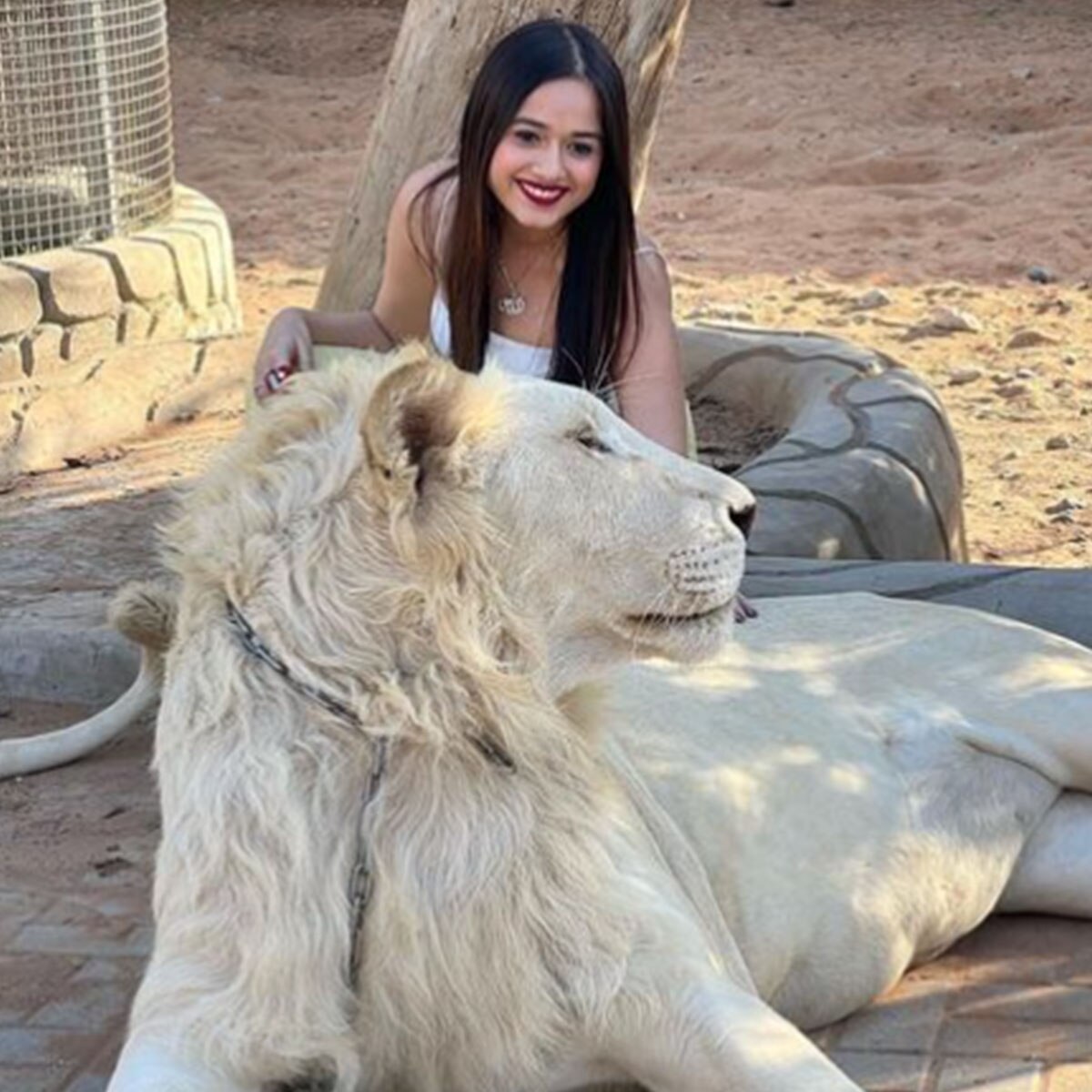 जन्नत जुबैर