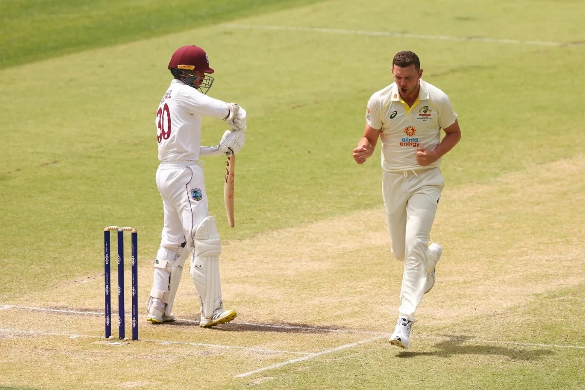 हेजलवुड