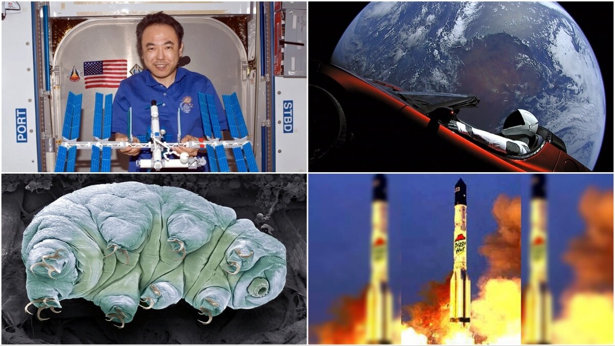 Weirdest Things Sent to Space