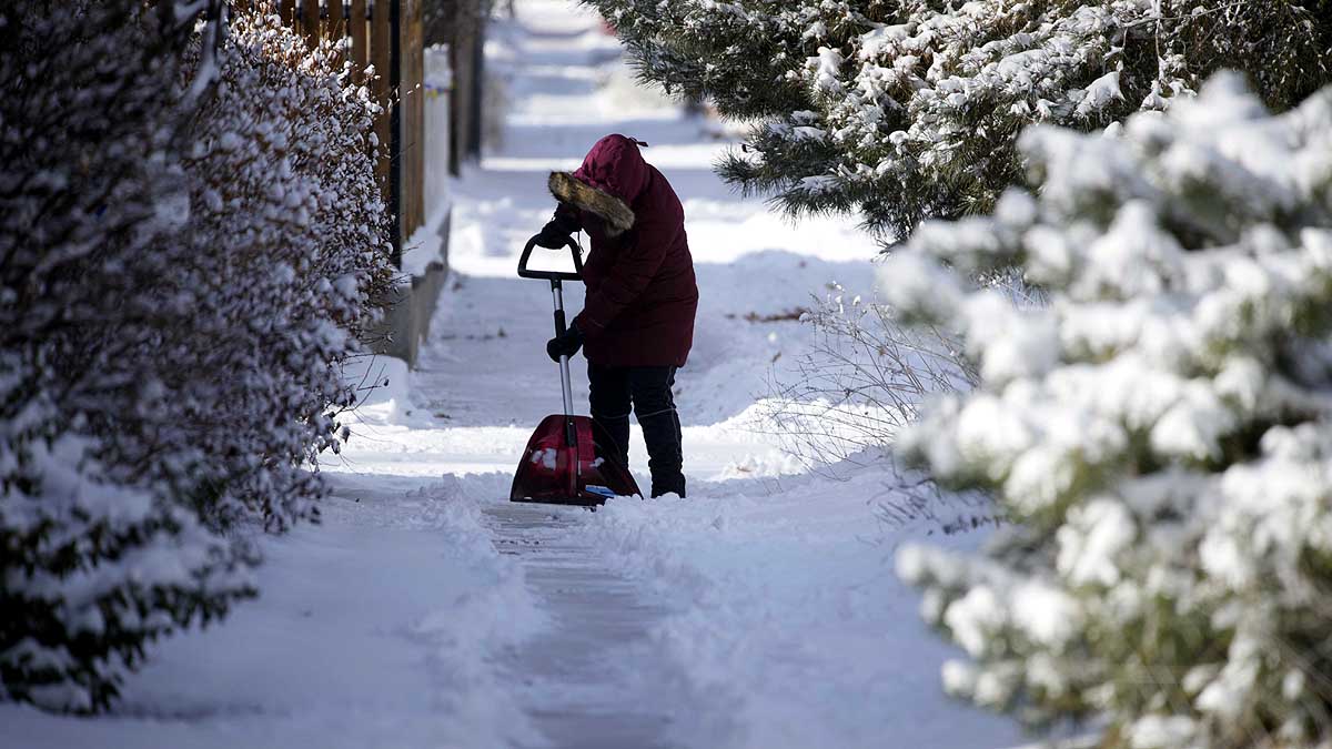 Arctic Polar Bear Ice Loss