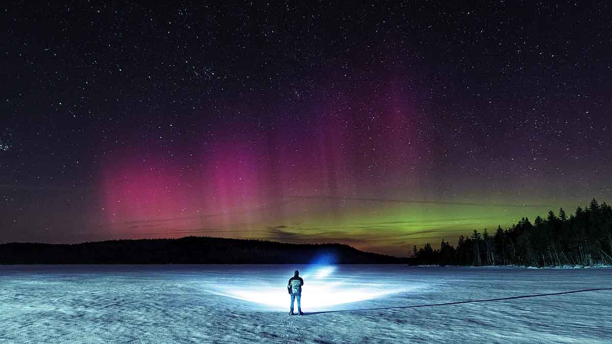 Arctic Polar Bear Ice Loss