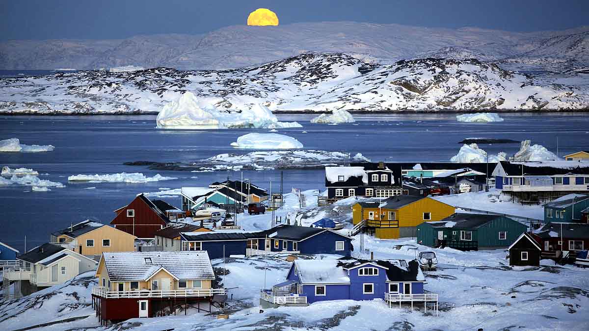 Arctic Polar Bear Ice Loss