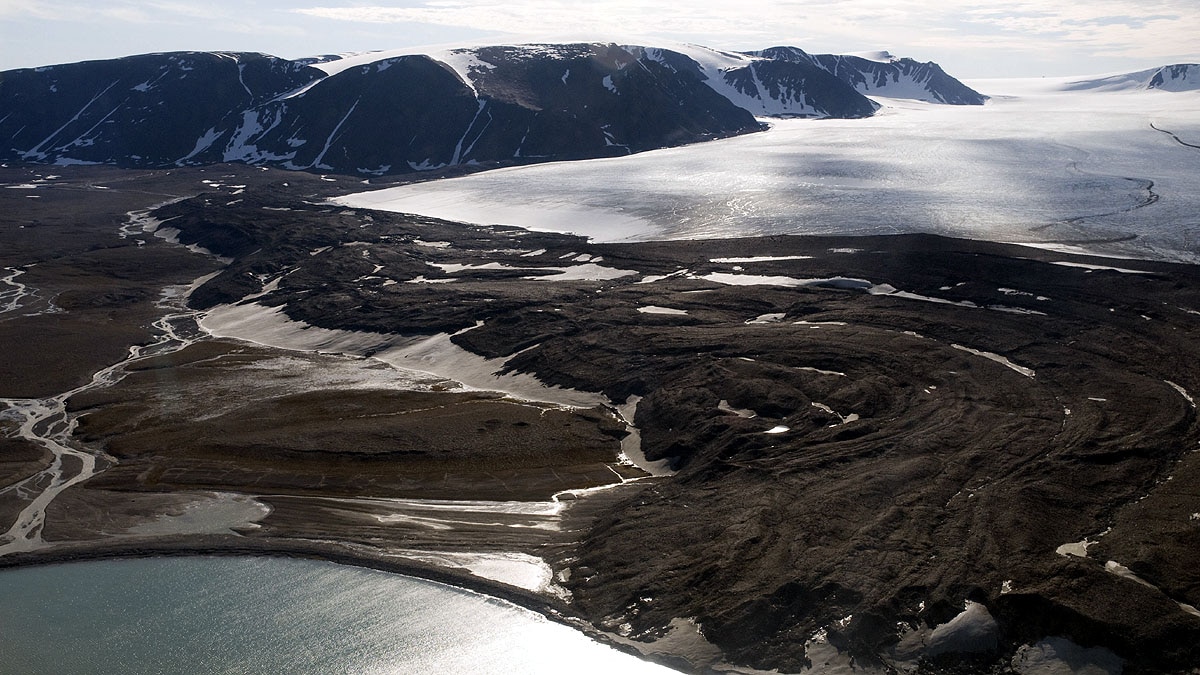 Arctic Polar Bear Ice Loss