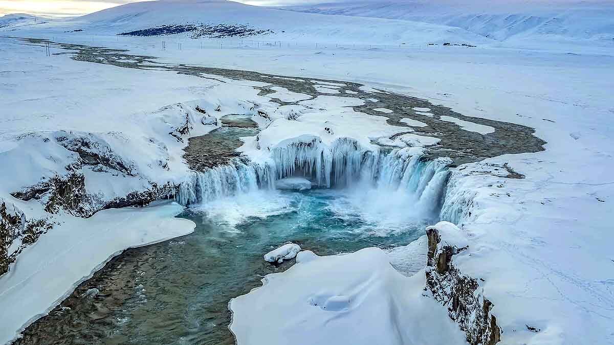Arctic Polar Bear Ice Loss