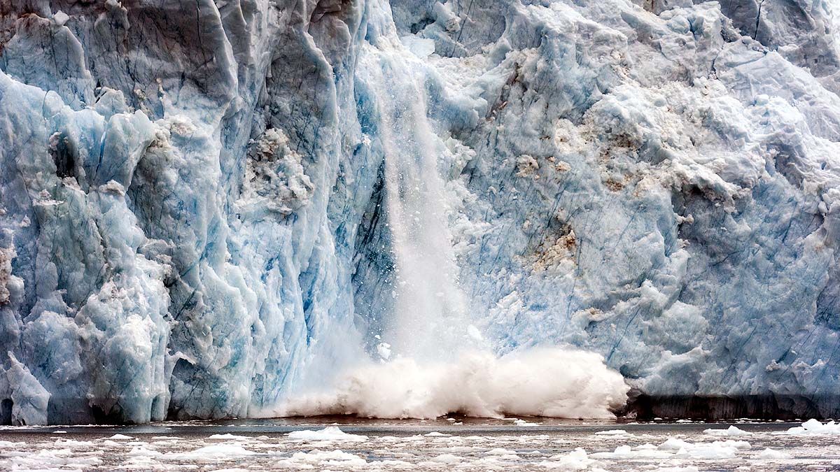 Arctic Polar Bear Ice Loss