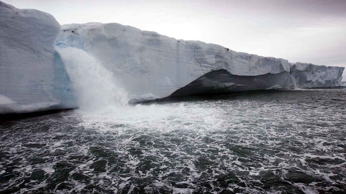 Arctic Polar Bear Ice Loss