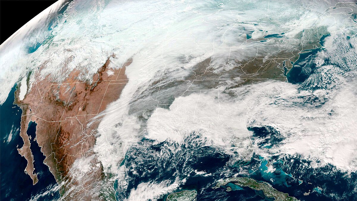 Arctic Polar Bear Ice Loss