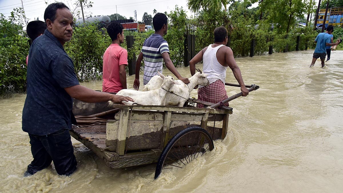Assam Flooding