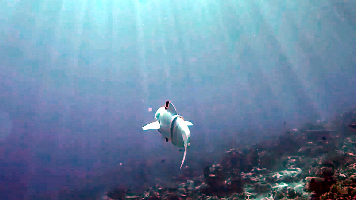 Robot Fish Spying 