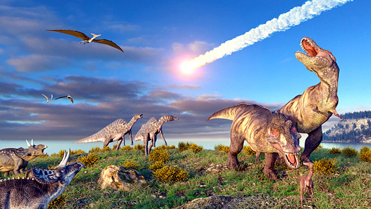 Human Ancestor Dinosaur