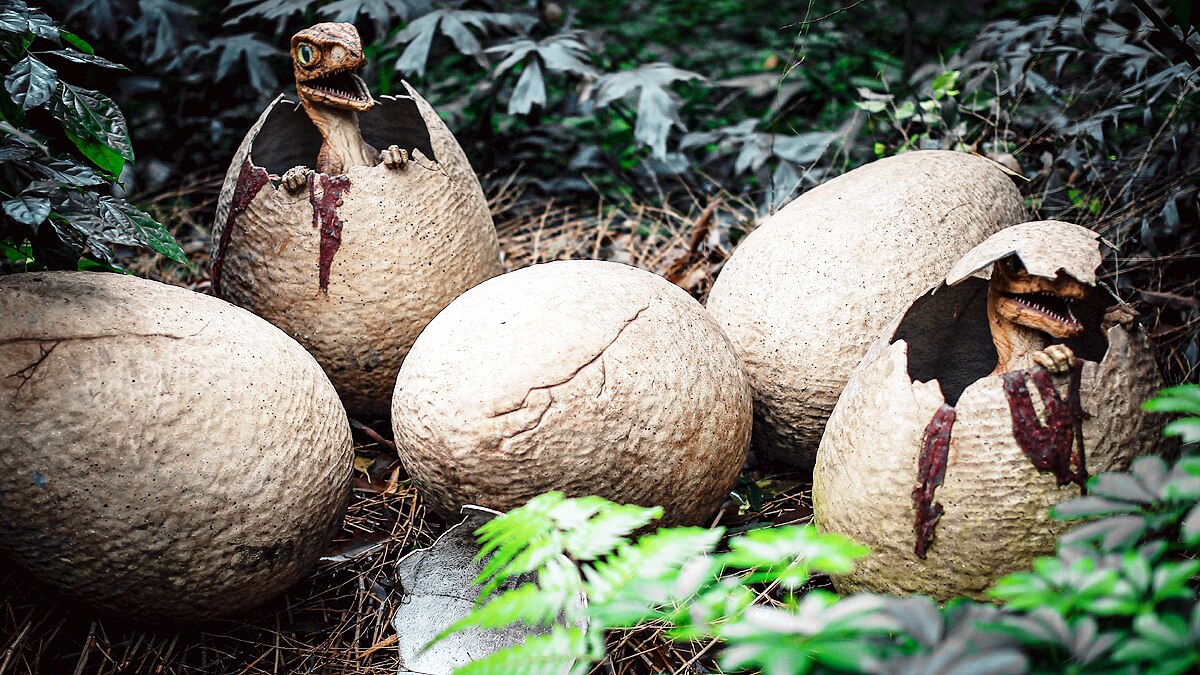 Human Ancestor Dinosaur