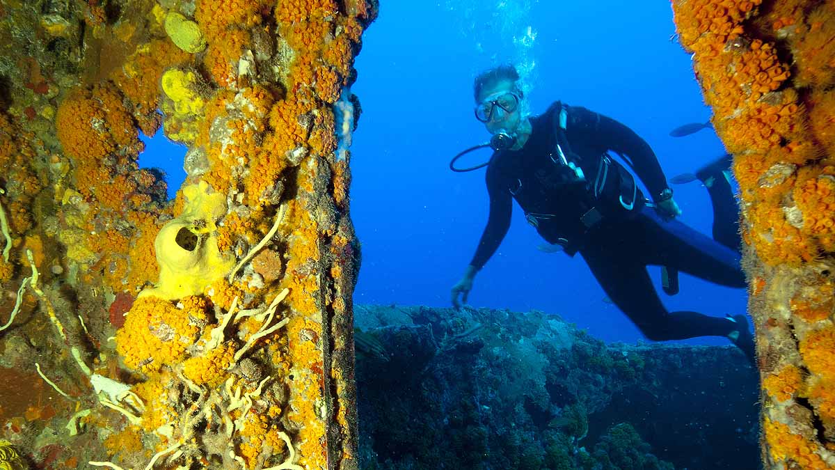Titan India Shipwreck Tourism