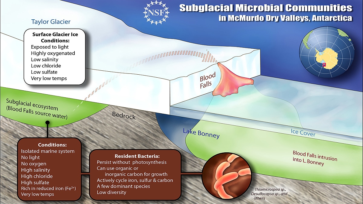 Antarctica Blood Falls