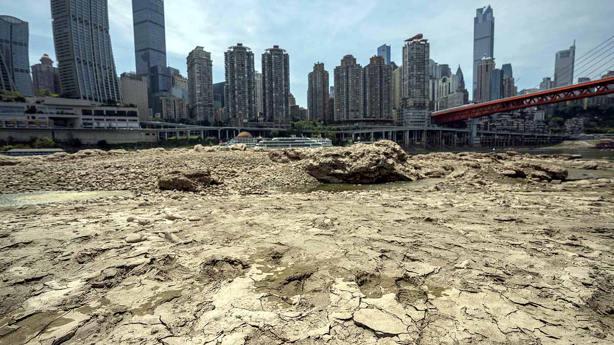 Climate Change Shrinking Brain