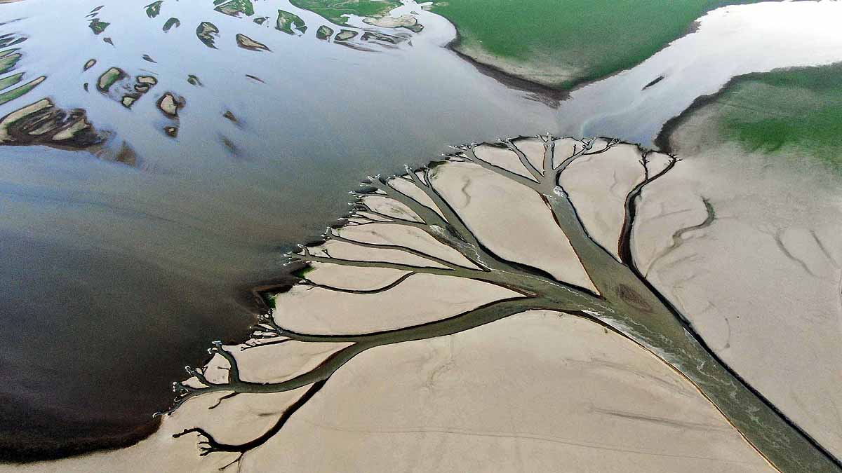 Climate Change Shrinking Brain