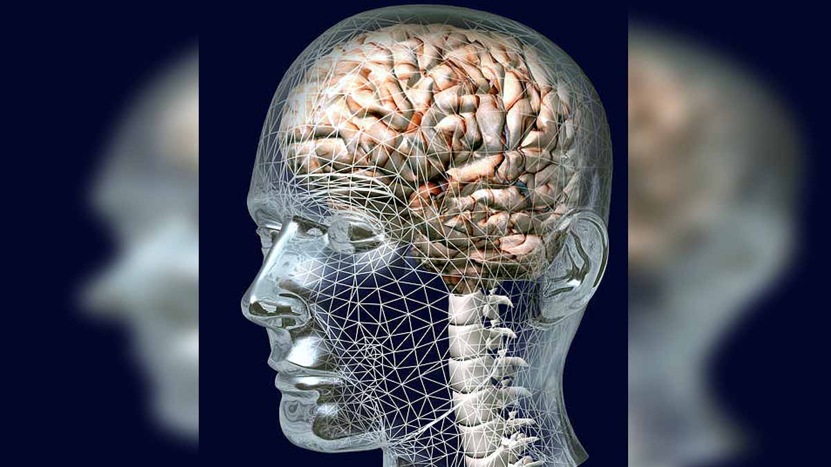 Climate Change Shrinking Brain