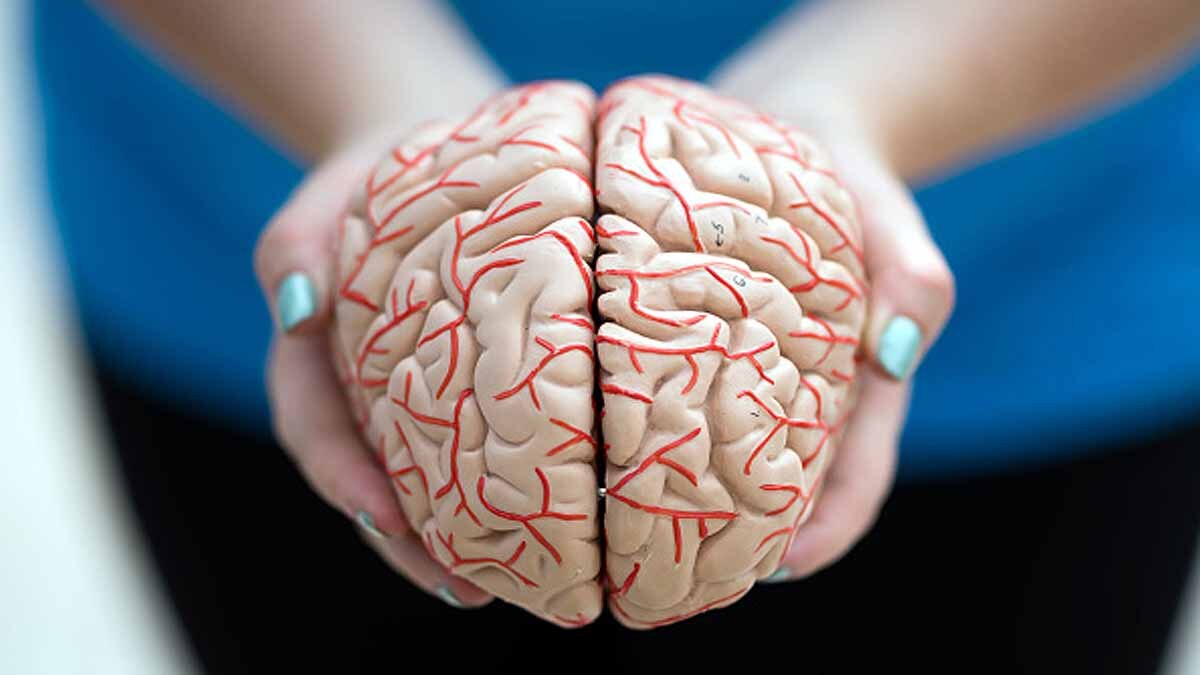 Climate Change Shrinking Brain