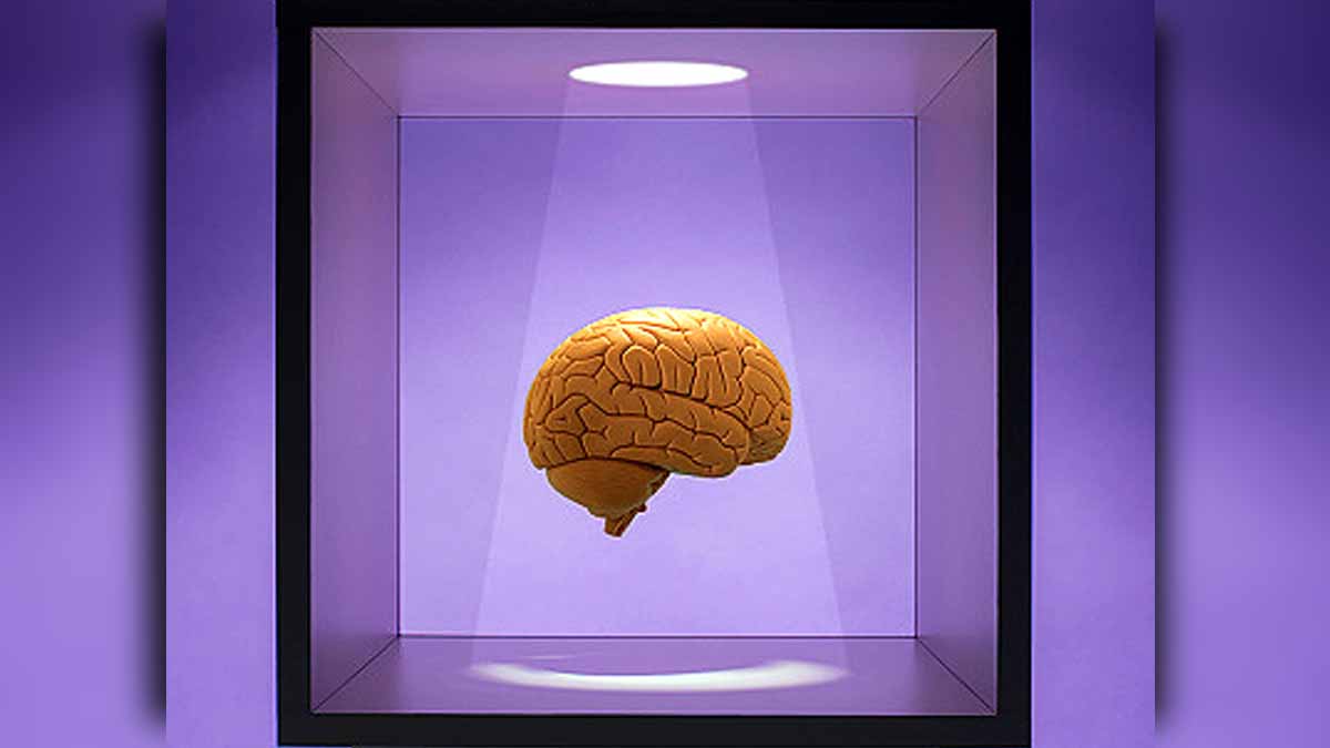 Climate Change Shrinking Brain