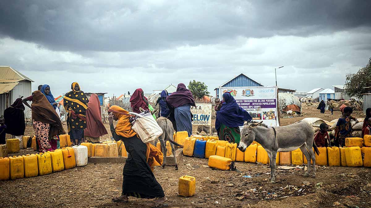 Climate Change Shrinking Brain