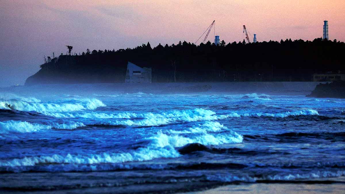 Japan Fukushima Nuclear Plant