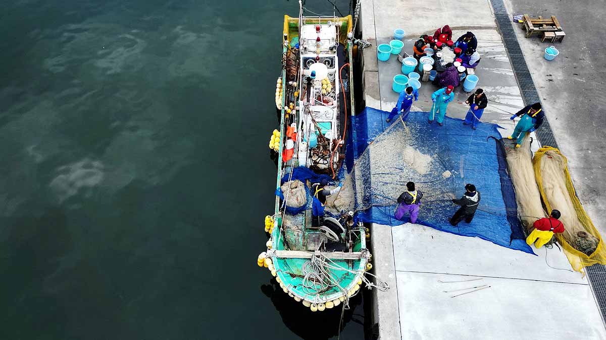 Japan Fukushima Nuclear Plant