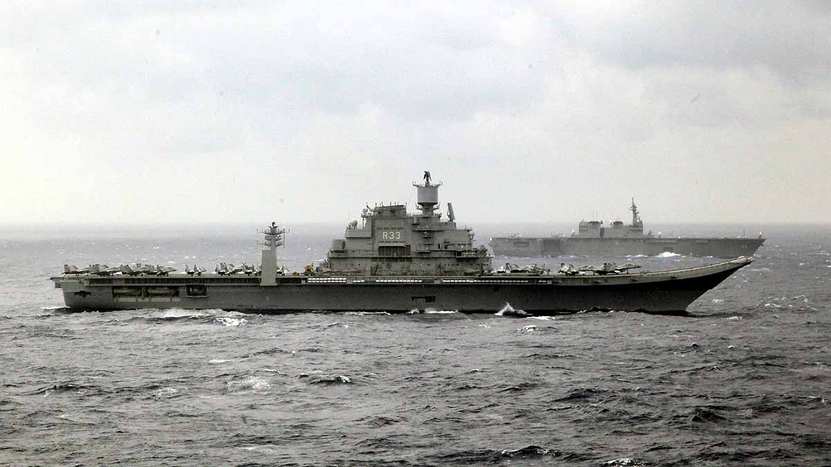 Russian Dolphin Army