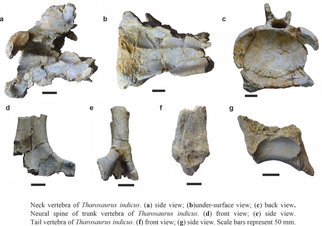 कच्छ बेसिन से सटा है यह क्षेत्र 