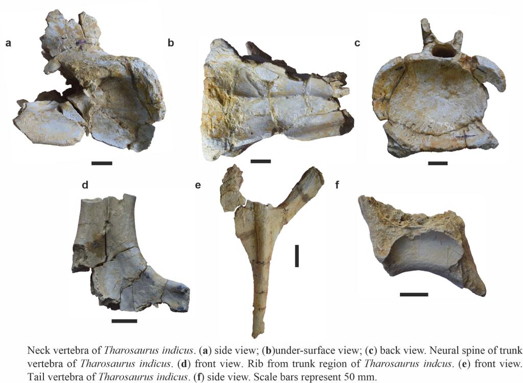 जैसलमेर का ये क्षेत्र हो सकता है डायनासोर बेसिन- वैज्ञानिक