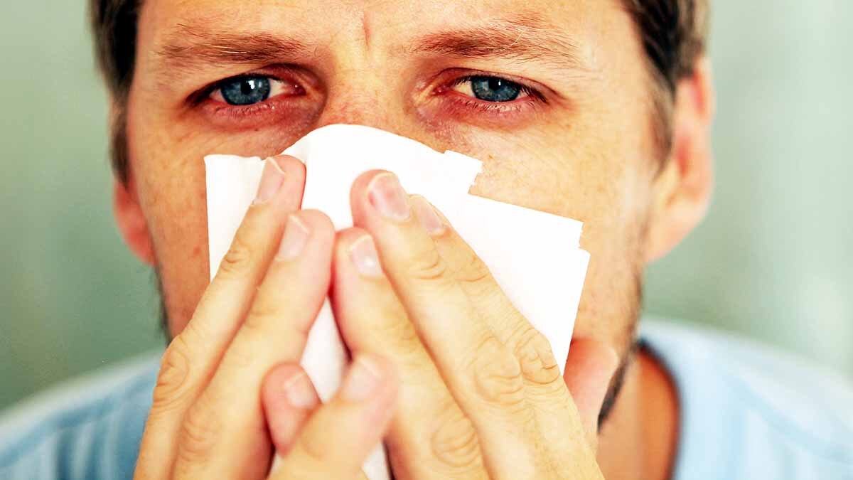 Effects of Climate Change