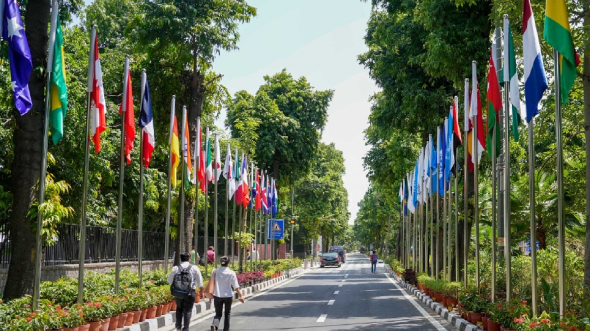 G-20 countries flags on Road