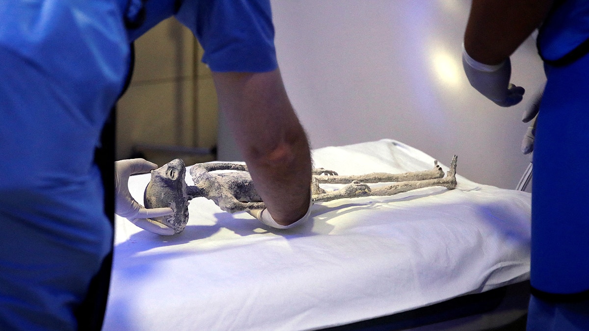 Mexico Alien Was Alive