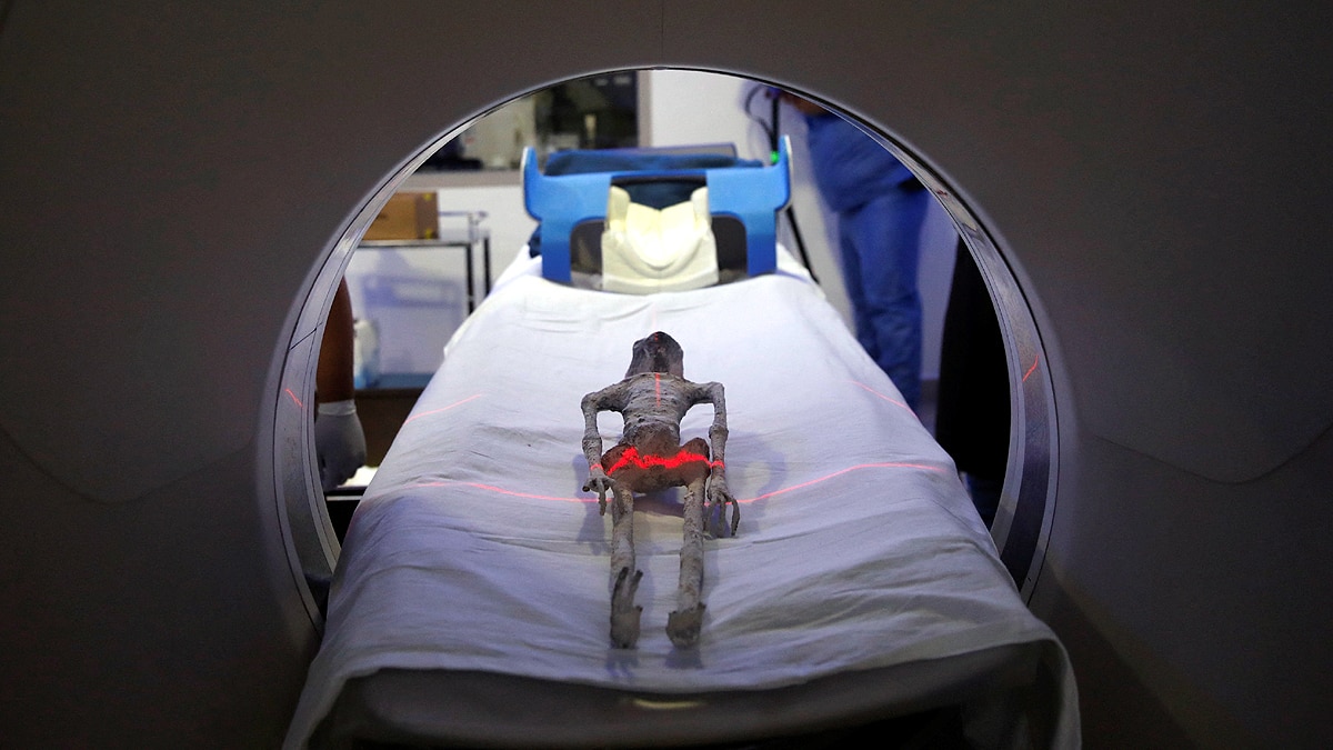 Mexico Alien Was Alive