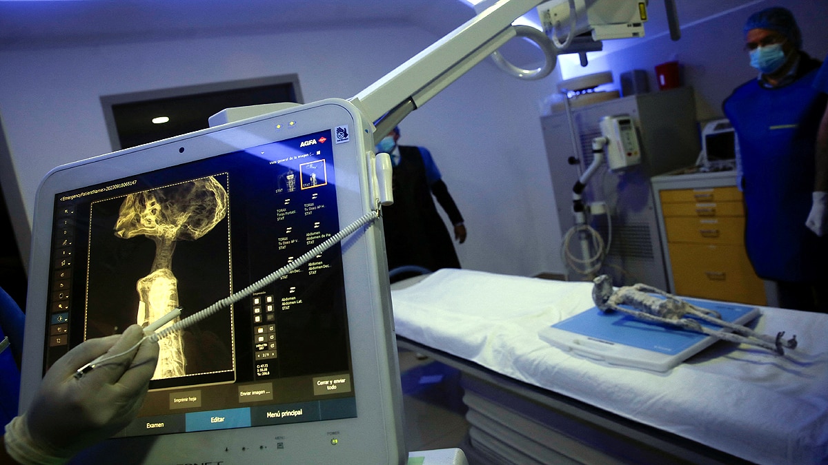 Mexico Alien Was Alive