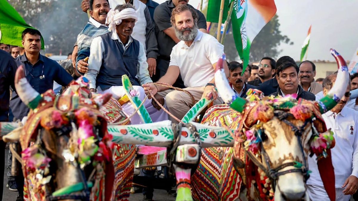 राहुल ने किसानों के साथ की थी बैलगाड़ी यात्रा