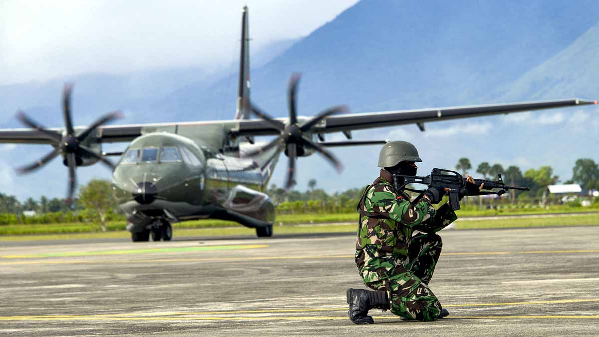 IAF's C-295 Transport Aircraft 