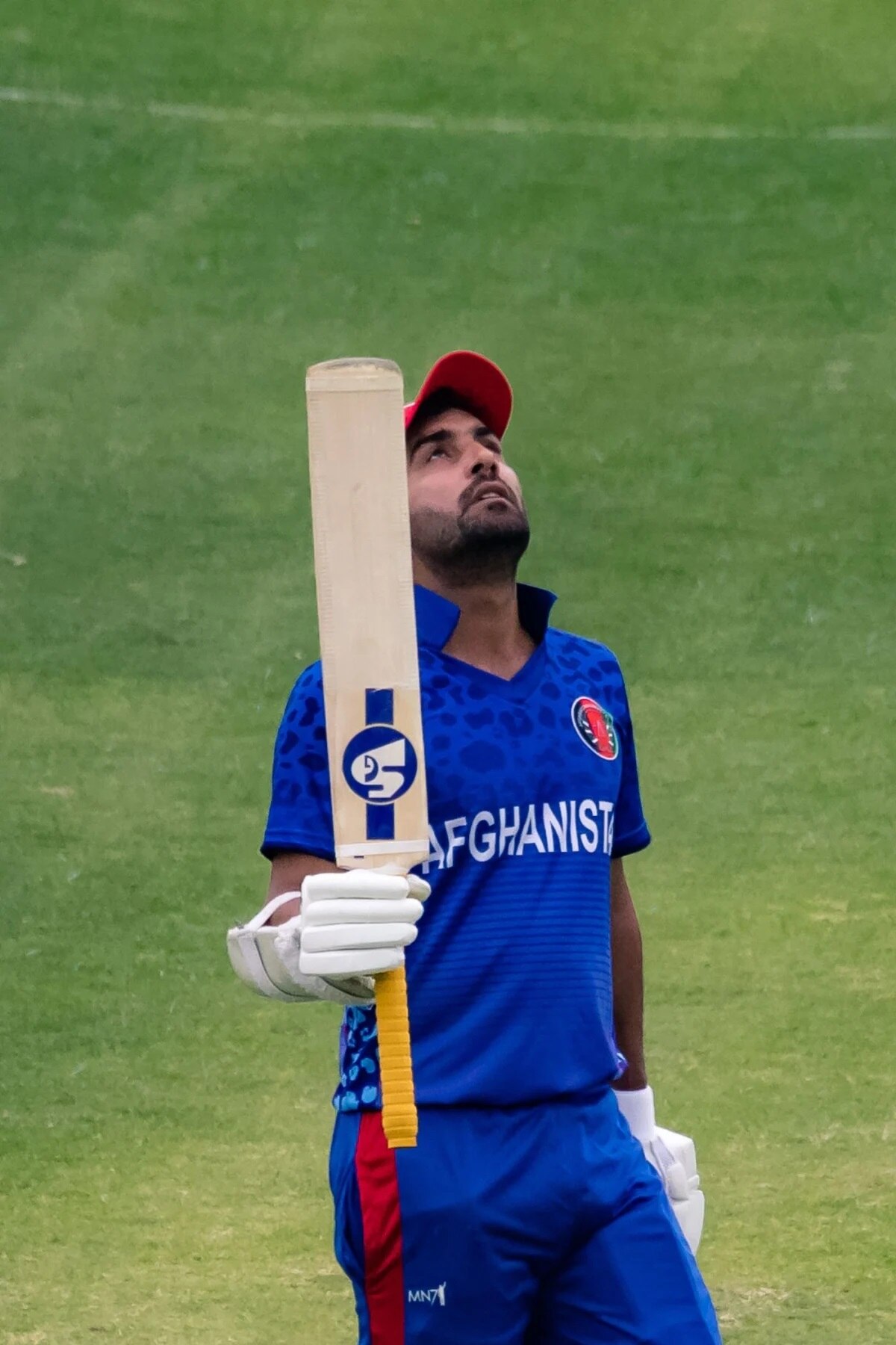 हशमतुल्लाह शाहिदी