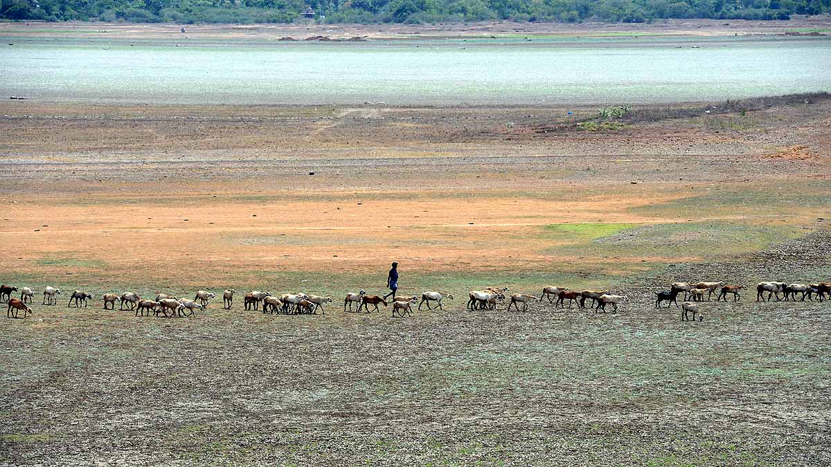 Drought In India 2023
