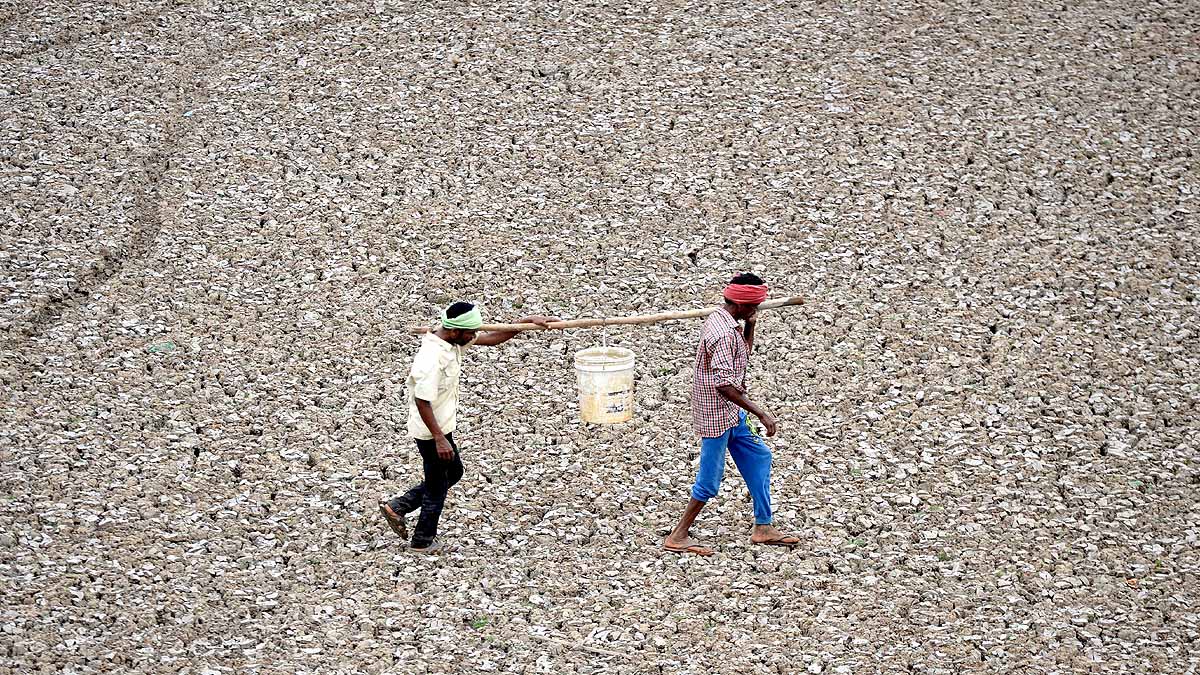 Drought In India 2023