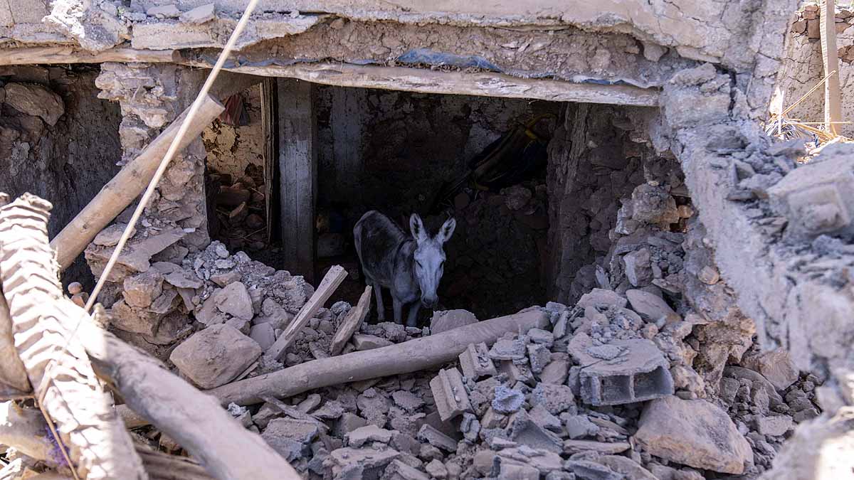 Morocco's Blind Earthquake