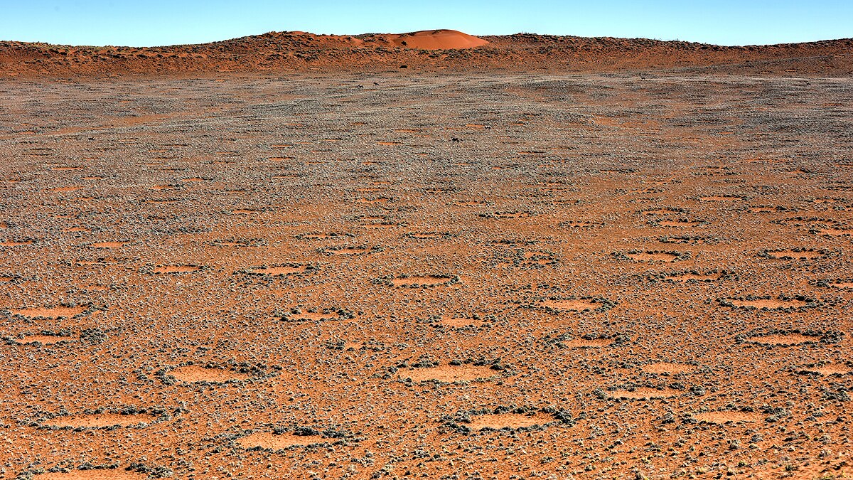 Mysterious Fairy Circles