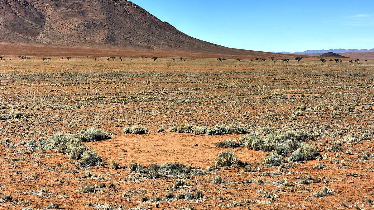 Mysterious Fairy Circles