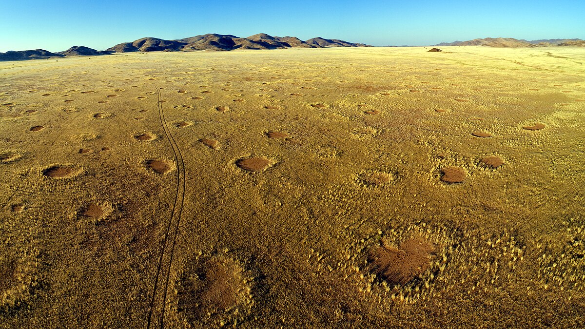 Mysterious Fairy Circles