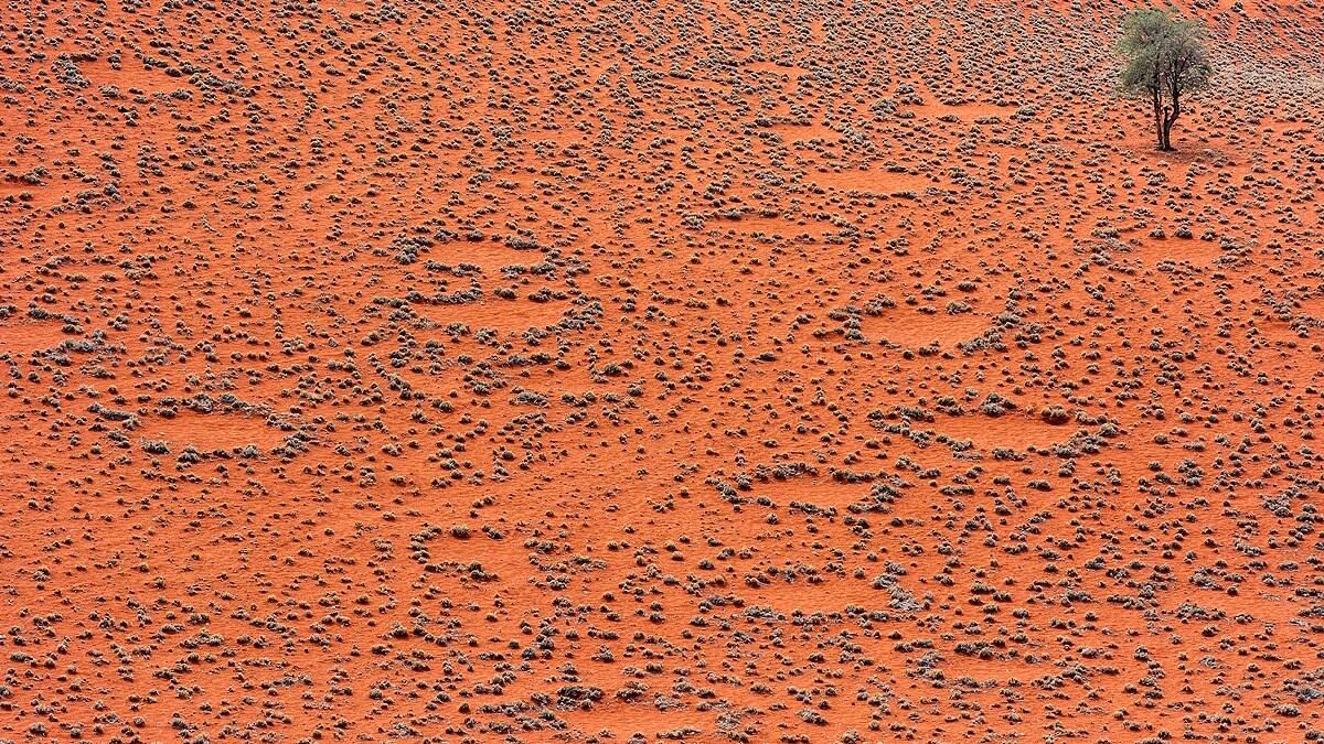 Mysterious Fairy Circles