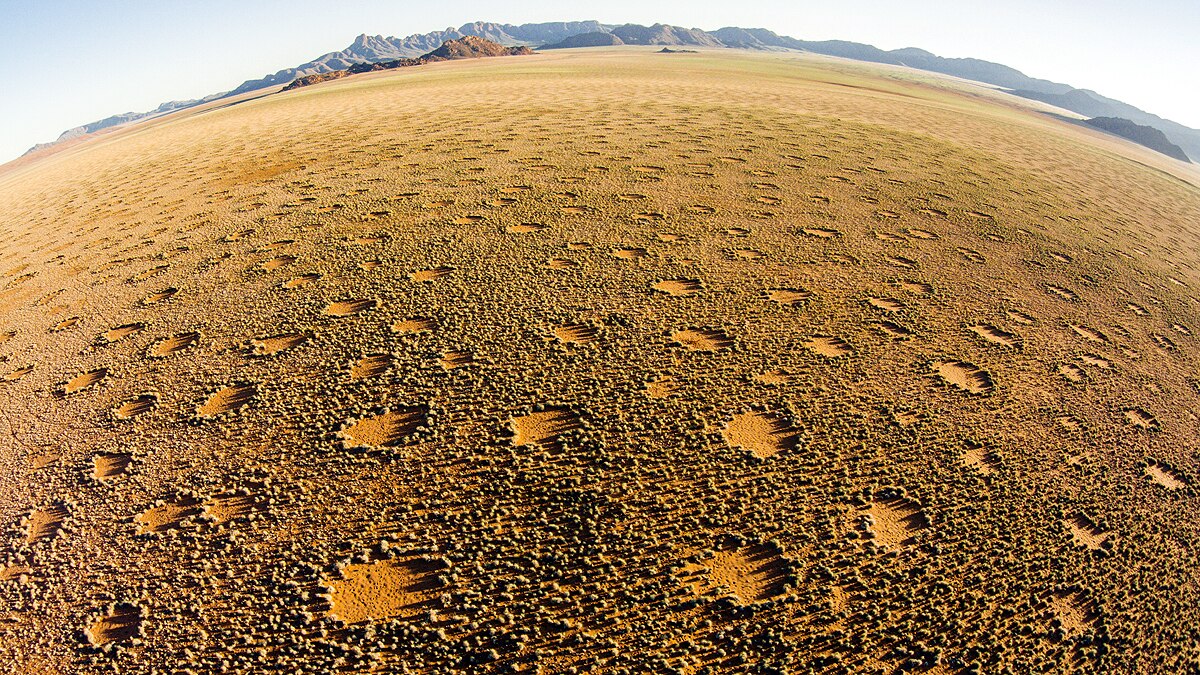 Mysterious Fairy Circles