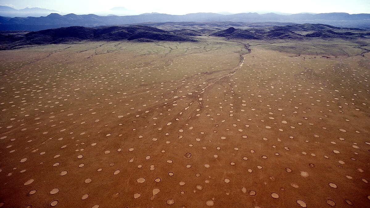 Mysterious Fairy Circles
