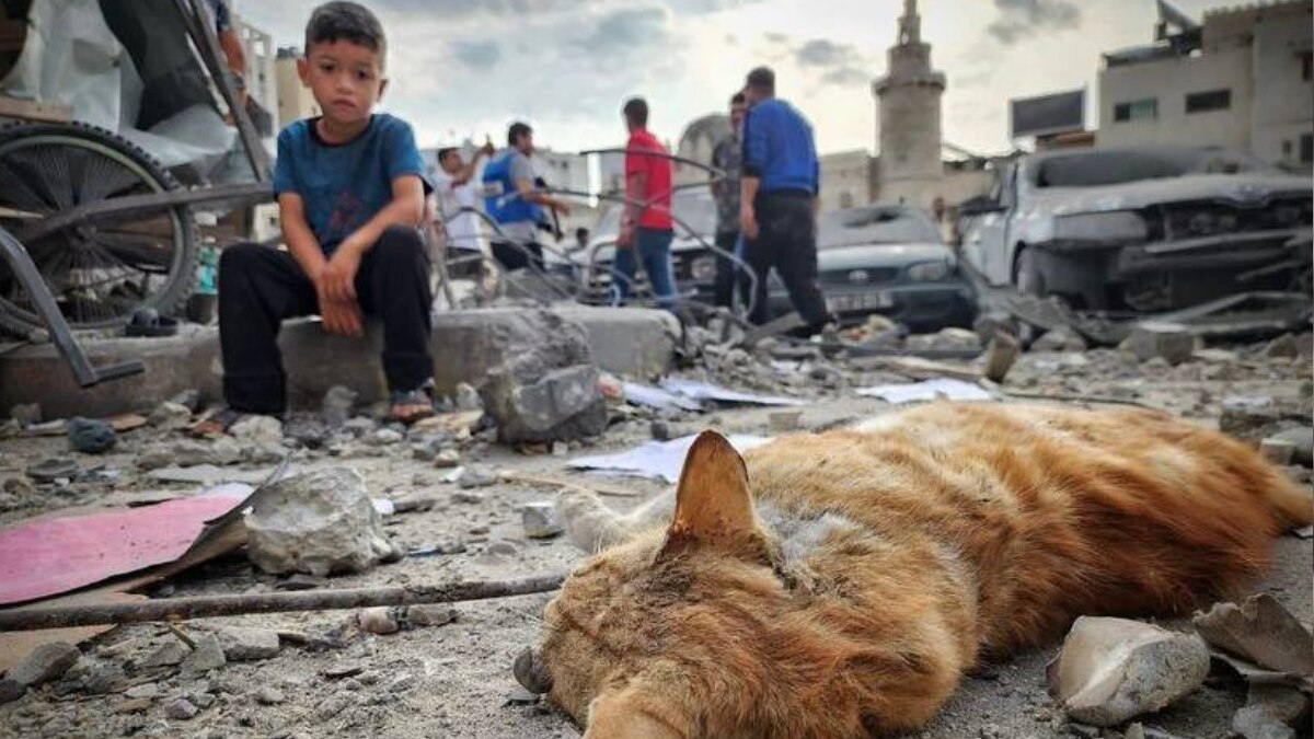 Israel-Hamas War: जलती गाड़ियां, खंडहर होते मकान, बिखरे बच्चों के सामान... गाजा में आम लोगों पर ऐसे टूटा है कहर, 15 Photos