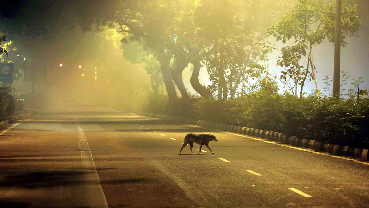 Delhi AQI After Diwali